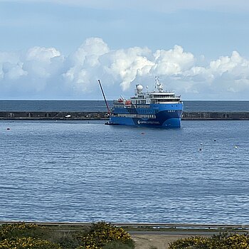 Die Ocean Albatros