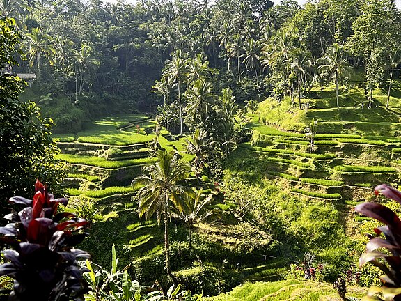 Bali, Indonesien Bali, Indonesien