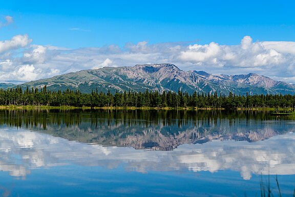 Im Denali Nationalpark
